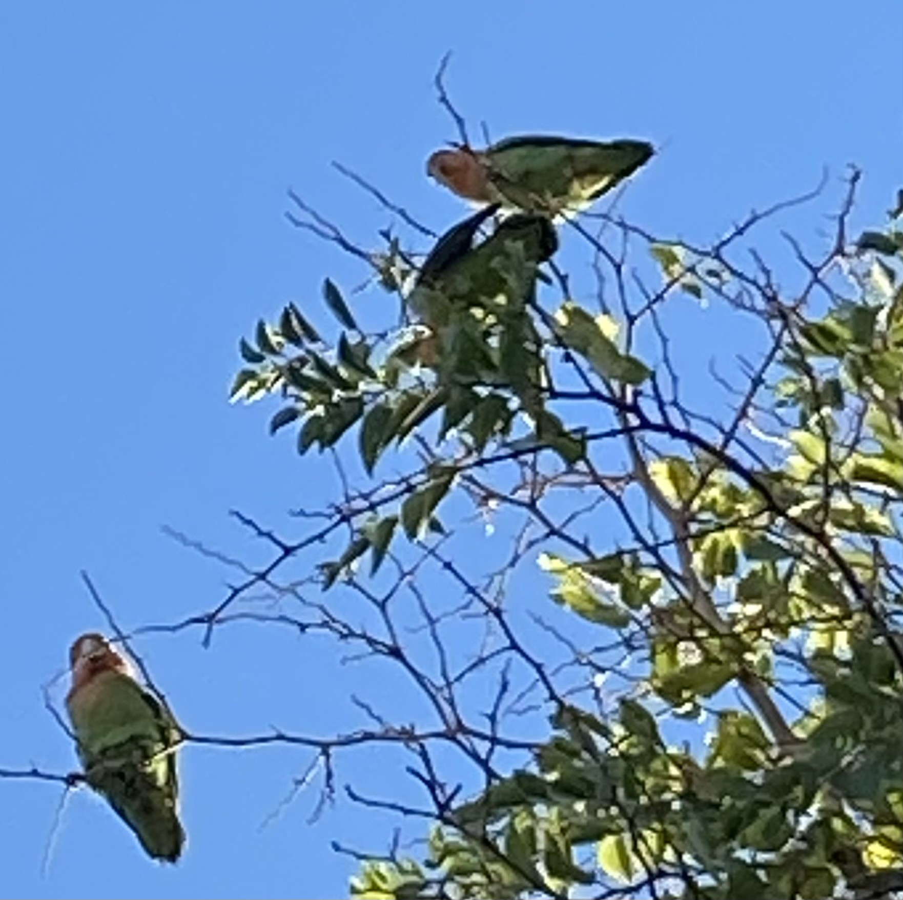 Img 3860