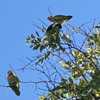 Img 3860