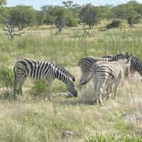 Namibie 2025